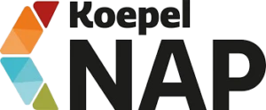 nap logo